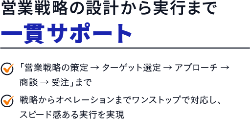 営業戦略の設計から実行まで一貫サポート